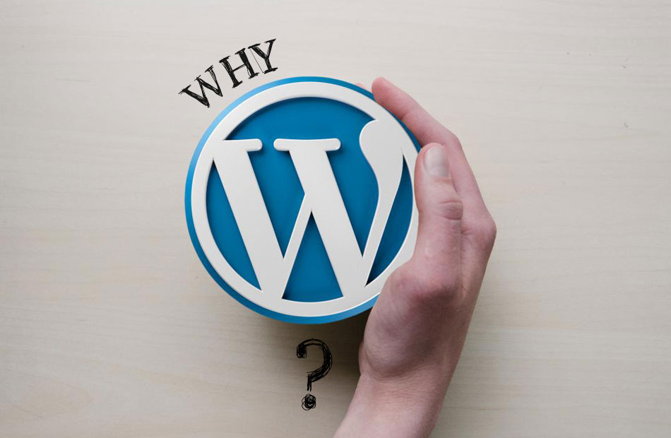 Why should we choose WordPress?